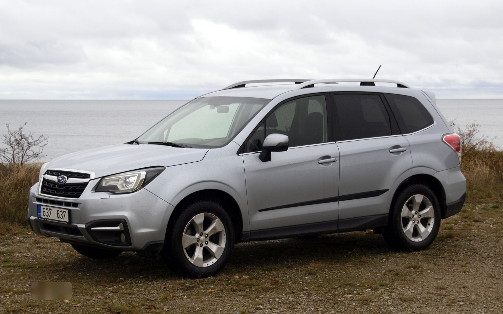 Subaru Forester, 2014 -2018