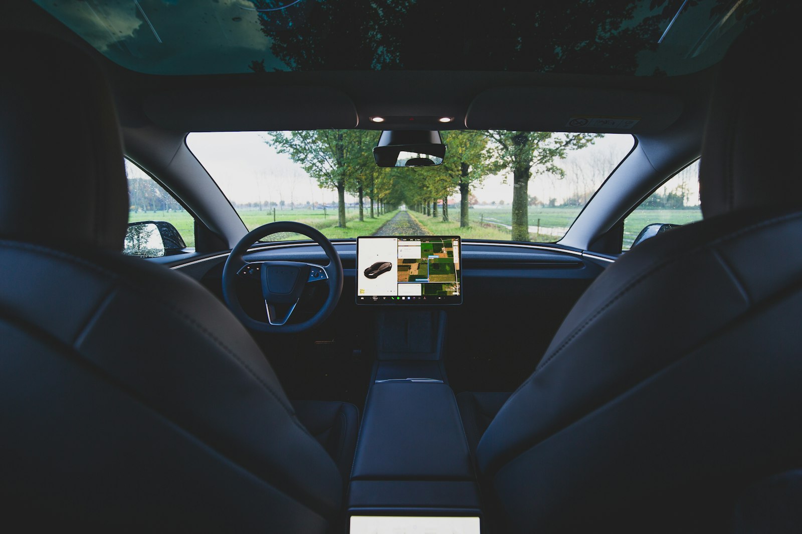 View from the back seat of a Tesla on an autumn road